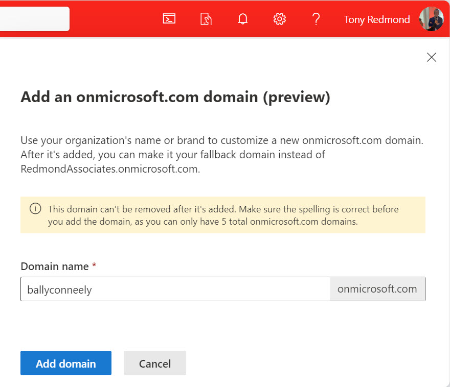 Specifying the name for a new onmicrosoft.com domain.